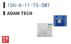 1SH-A-11-TS-SMT ͼƬ